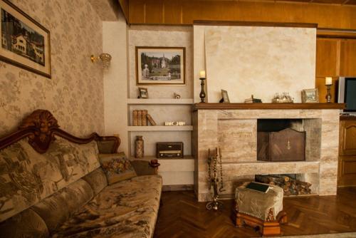 Vila Condor Sinaia - 69