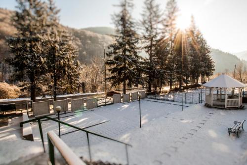 Vila Condor Sinaia - 213