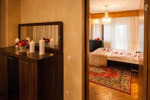 Vila Condor Sinaia - 740