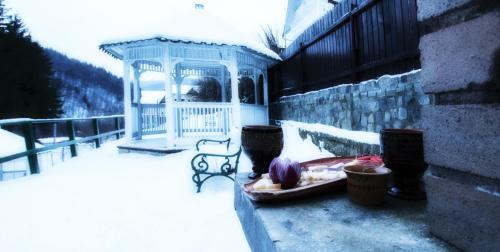 Vila Condor Sinaia - 218
