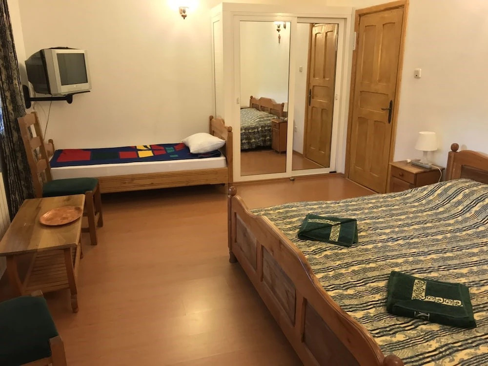 Vila Doina Ecotour - 455