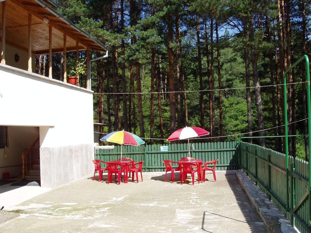 Vila Doina Ecotour - 111