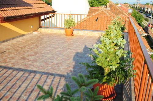 B&B Vila Dolce Vita - 253