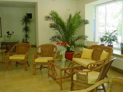 Vila Elena - 48