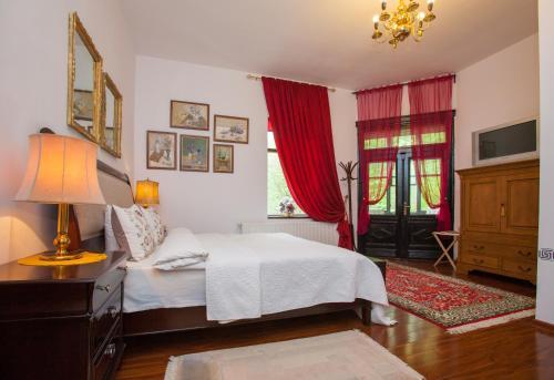 IL Piccolo Castello Busteni - 882