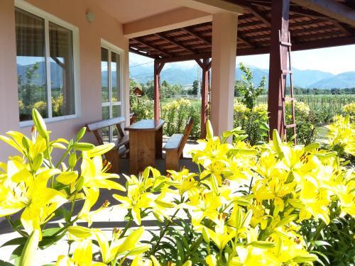 Vila Ivan - 830