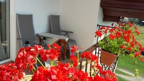 Vila Ivan - 63