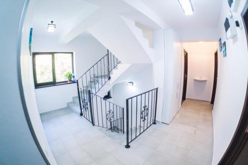 Vila Kos - 739
