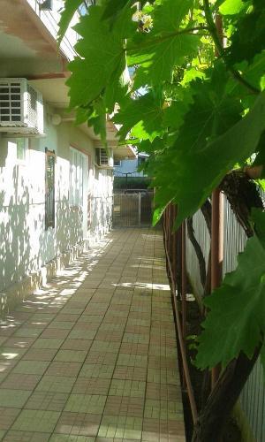 Vila Lucky - 881