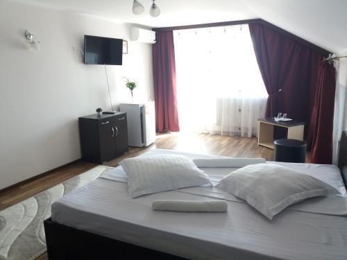 Vila Marie "Apartament Cristina" - 411