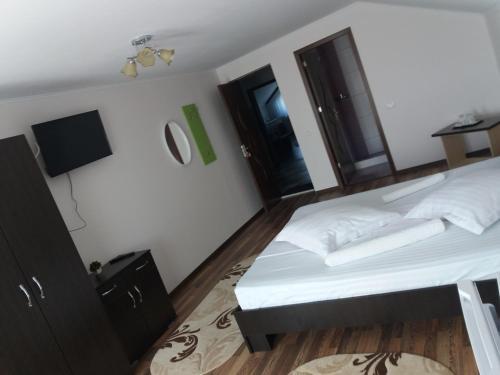 Vila Marie "Apartament Cristina" - 494