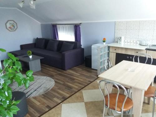 Vila Marie "Apartament Cristina" - 103