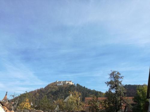 Vila Nely - 360