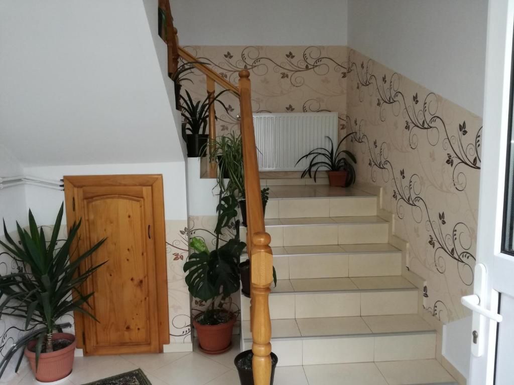 Vila Nely - 525