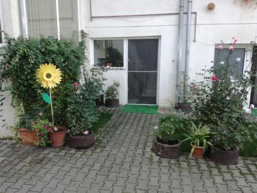 Vila Nely - 354