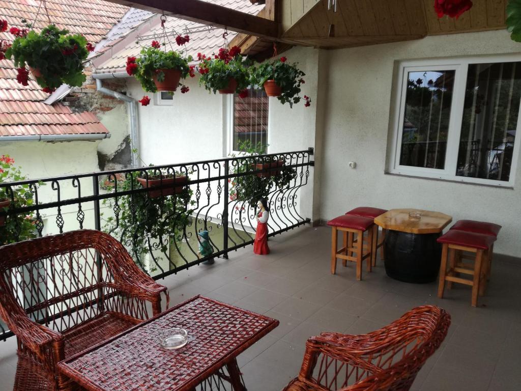 Vila Nely - 559