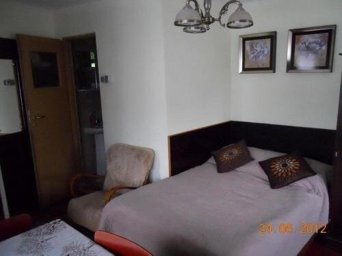 Pascu State - 480