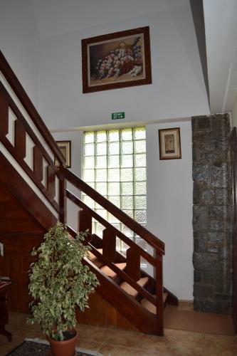 Casa Camelia - 203
