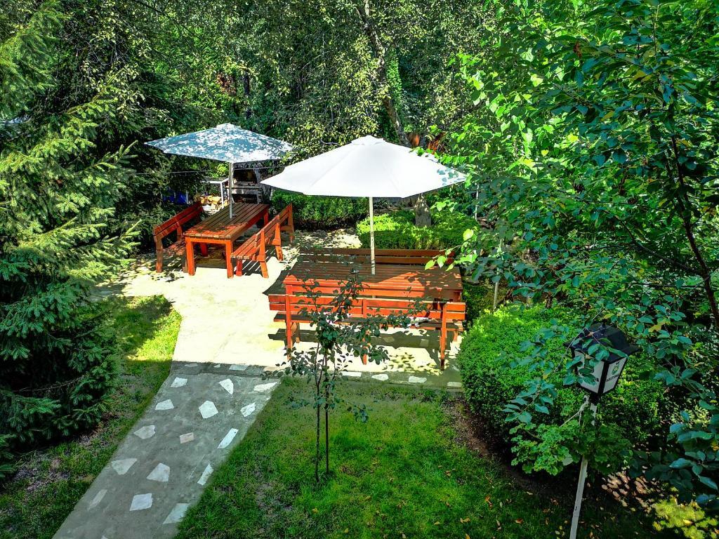 Casa Camelia - 745