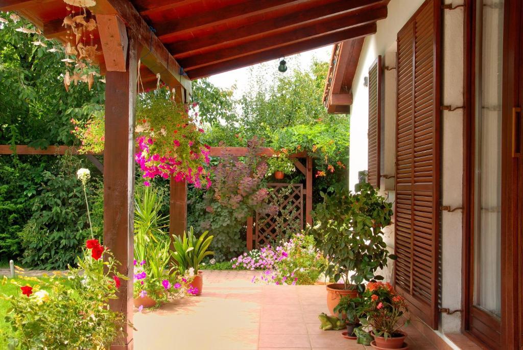 Vila Poiana - 237