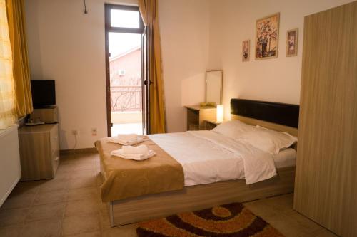 Vila Raluca - 464
