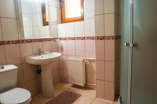Vila Raluca - 829