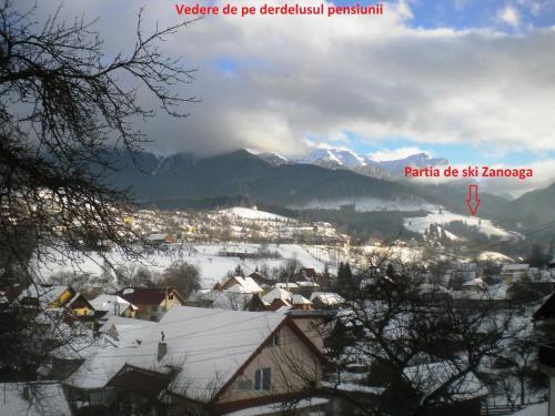 Vila Sarah Bran - 154