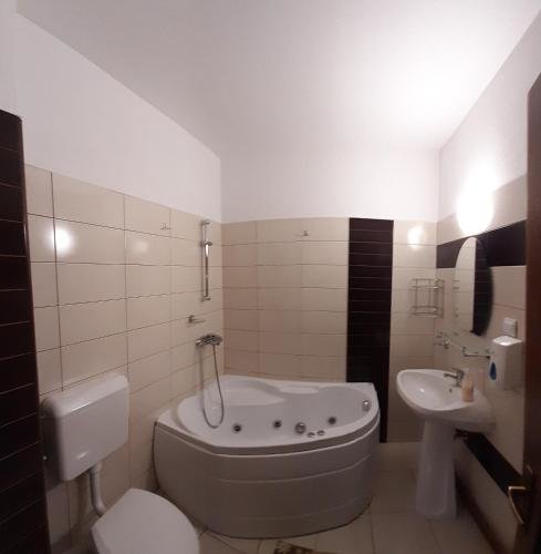 Vila Sarah Bran - 748