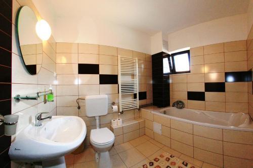 Vila Sarah Bran - 211