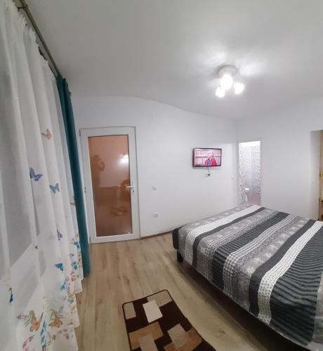 Vila Sarah Bran - 833