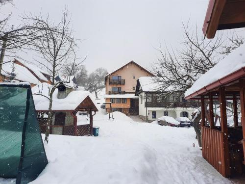 Vila Sarah Bran - 94