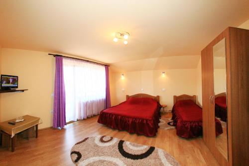 Vila Sarah Bran - 921