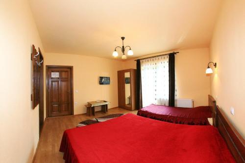 Vila Sarah Bran - 29