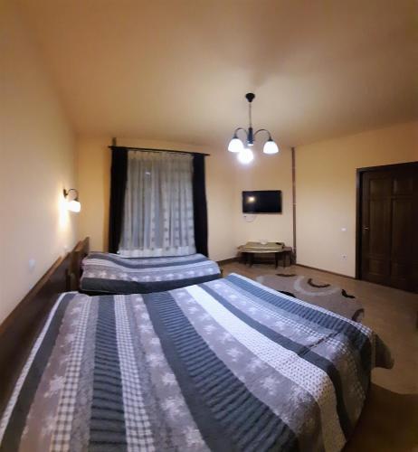 Vila Sarah Bran - 548