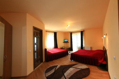 Vila Sarah Bran - 941