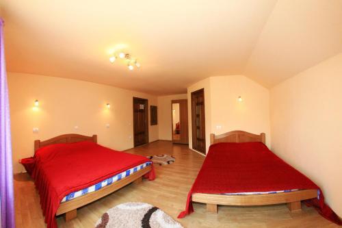 Vila Sarah Bran - 750