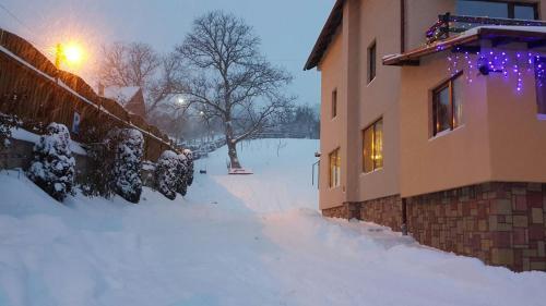Vila Sarah Bran - 228