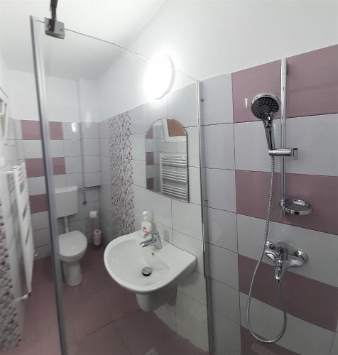 Vila Sarah Bran - 348