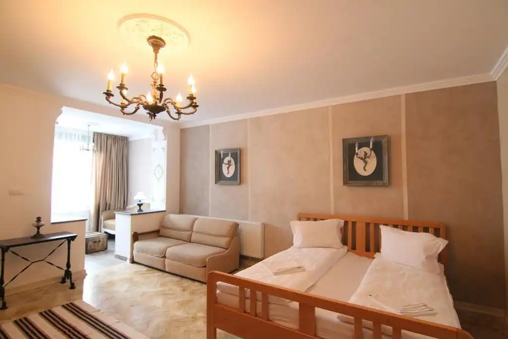 Vila Sibiu - 521