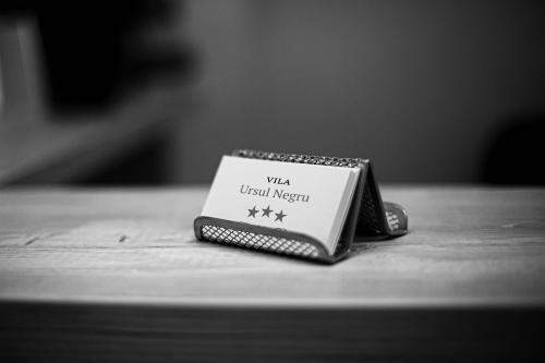 Vila Ursul Negru - 988