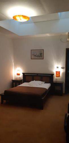 Vila Vlad - 749