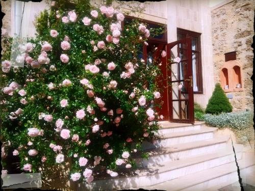 Villa Castelul Maria - 433