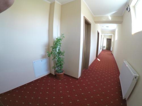 Villa Cristal - 453