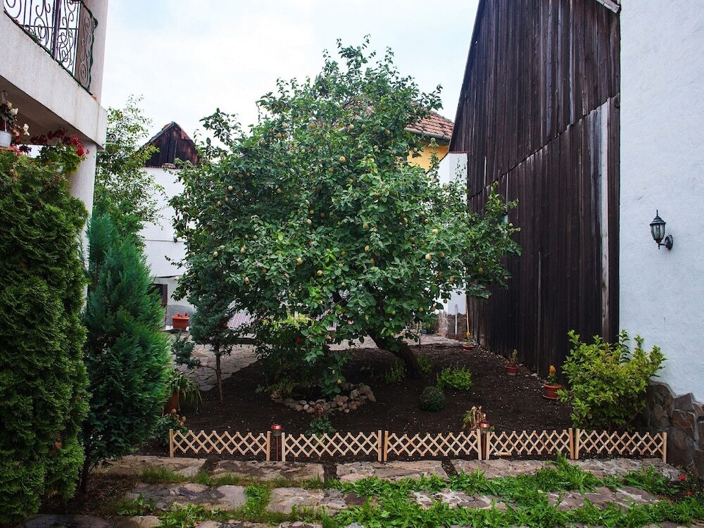 Villa Cristiani - 908