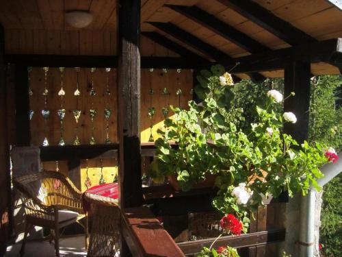 Villa Doina - 955