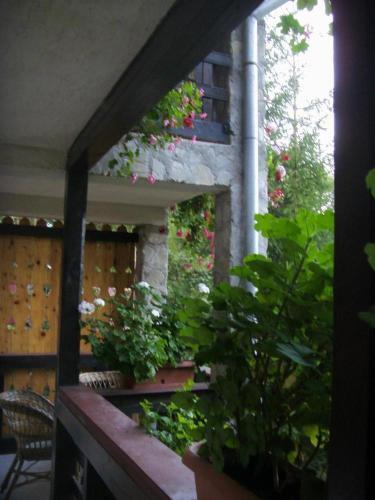 Villa Doina - 745