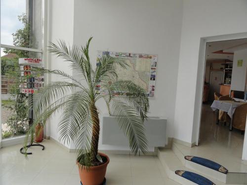 Pensiunea Villa Grande - 377