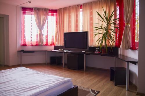 Pensiunea Villa Grande - 811