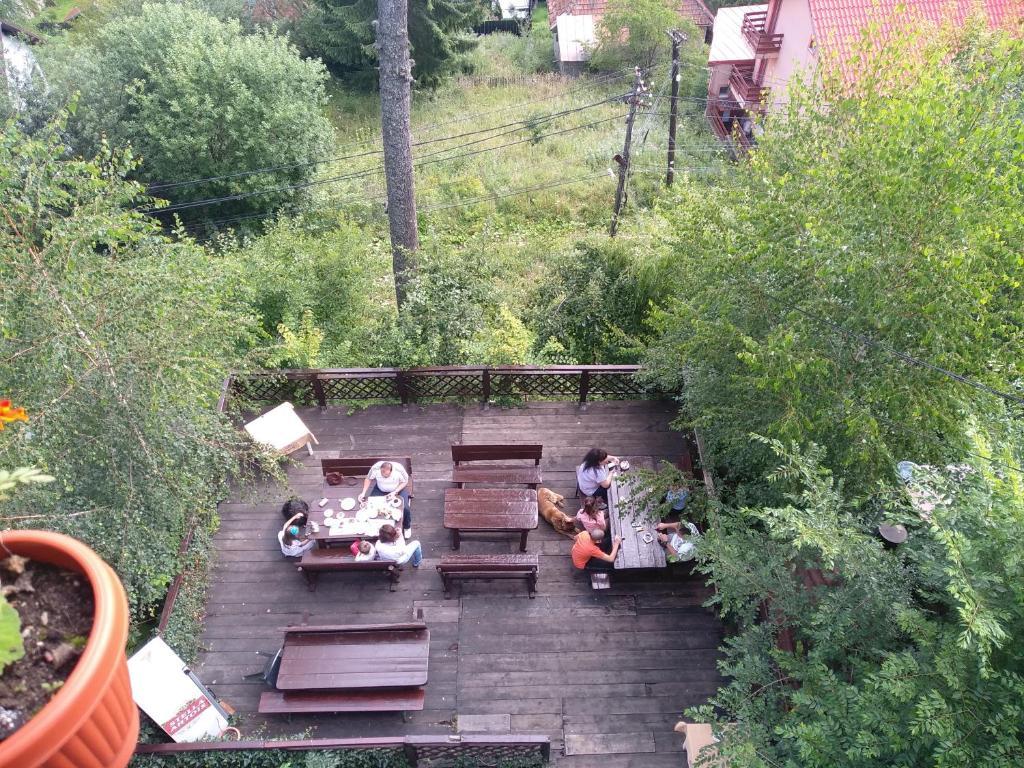 Villa Milcov - 895