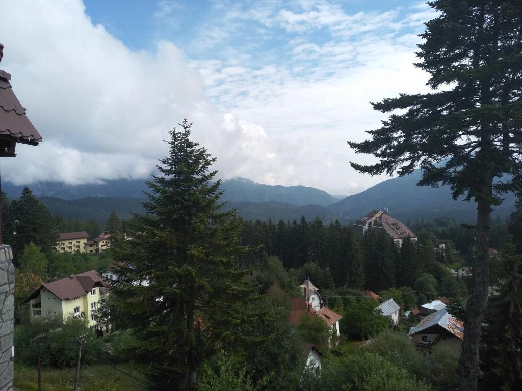 Villa Milcov - 701